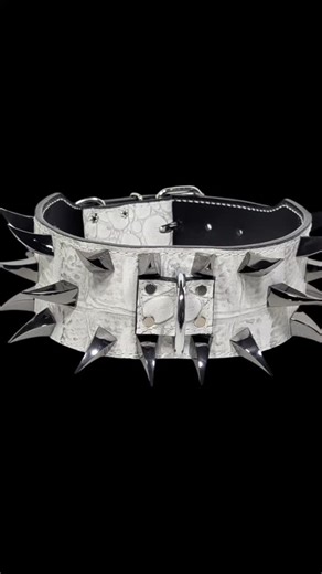 ❄️ Ice cold. All power. This 3" Ice Monster Croc Italian Leather Spiked Collar features Large Gunmetal Dragon Claw Spikes—built for dogs who wear strength like armor. Big dogs need big collars, and that’s our specialty. 🔥 Since 2007 👉 pitbullgear.com #PitBullGear #DragonClawSpikes #IceMonsterCollar #BigDogGear #MadeForTheStrong | Pit Bull Gear