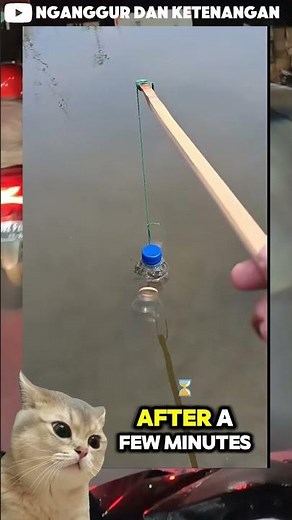 Primitive Bottle Fishing: A Simple Survival Technique