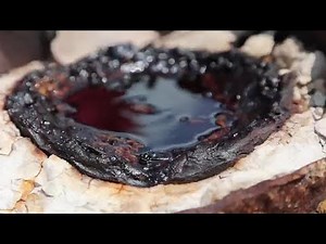 This oil veteran takes on 'zombie' wells in Texas | REUTERS