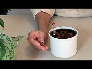 EasyGroHydro System-How It Works