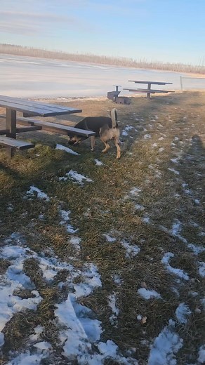 1K views · 16 reactions | No people weekend | James Dumas | Facebook