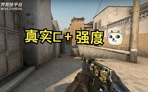 完美平台真实C 强度
