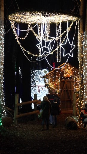 747K views · 2.6K reactions | Check out Winter City Lights this season, an immersive holiday lights experience in Olney, Maryland! | Winter City Lights | Facebook