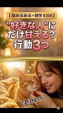 猫が"好きな人の前でだけ"甘える3つの行動【猫あるある＋雑学 #206】#猫あるある #猫の行動 #猫好きな人と繋がりたい #猫のいる暮らし #猫雑学 #ショート動画 #猫