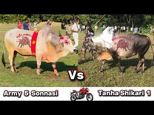 “Bull Fight Event | Crowd Reactions & Action”😱😮🐂