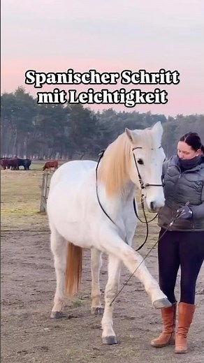 Spanischer Schritt 🐴 Wie du echte Leichtigkeit mit deinem Pferd erlangst ➡️ Beschreibung #lusitano
