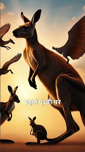 Kangaroo FLYING with wings | Flying Kangaroo | Kangaroo Tales