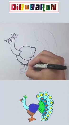 Dibujando un Pavo Real | Dibujos faciles