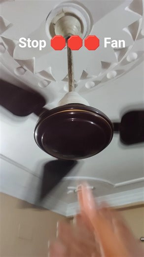 ceiling fan stop hand fan #crazy #fan #celebration #ceilingfan