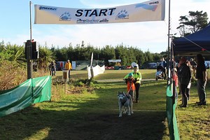 Sled dog race event marks 25 years