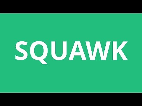 How To Pronounce Squawk - Pronunciation Academy