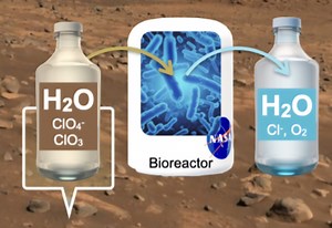 A New Graduate Project Plans to Make Martian Water Drinkable