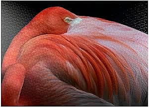 MyPuzzle Flamingo - Premium 1000 Piece Jigsaw Puzzle - Made in USA