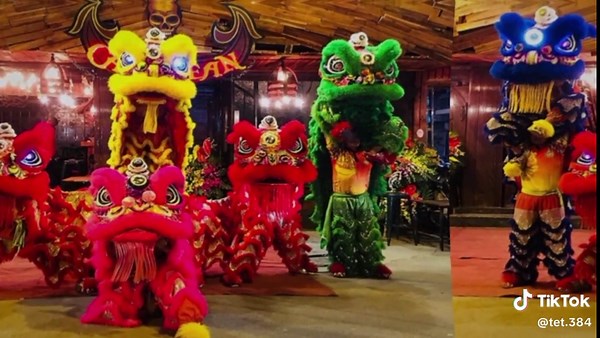 múa lân #tetvuive #mualan #tet #tet2026#xuhuongtiktok