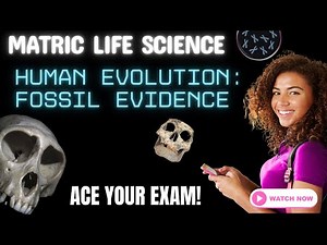 Life Science | Matric Exam Revision | Fossil Evidence for Human Evolution (Grade 12 CAPS)