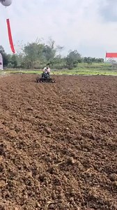 312K views · 2.1K reactions | Compact but powerful! Our Mini 4-Wheeled Farm Tractor is the perfect choice for small to medium farms — ideal for plowing, hauling, and light-duty tasks. Easy to operate, fuel-efficient, and built for productivity. #MiniTractor #4WheeledTractor #FarmMachinery #CompactTractor #DenraksMachinery #SmallScaleFarming #TractorForFarmers #AgriculturalEquipment #FarmTools #EfficientFarming | Denraks Machinery | Facebook