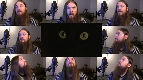 My cat knows what you do in the dark - Fall Out Boy parody; acapella