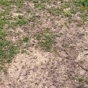 “I used to think having a beautiful green lawn was only possible with...