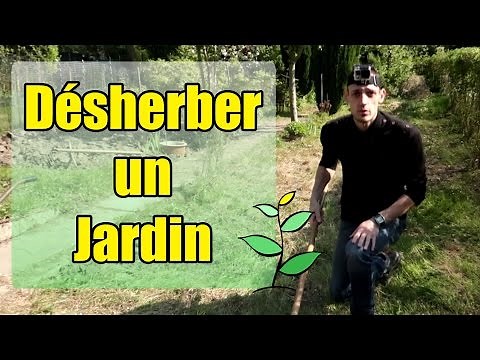 Comment Désherber un Jardin