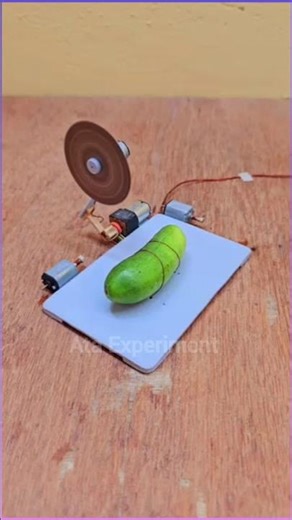 Innocent cucumber in cockroach trap🥒🪚#engeenering#experiment