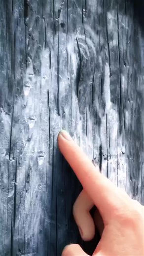 How Your Body Removes Deep Splinters Naturally