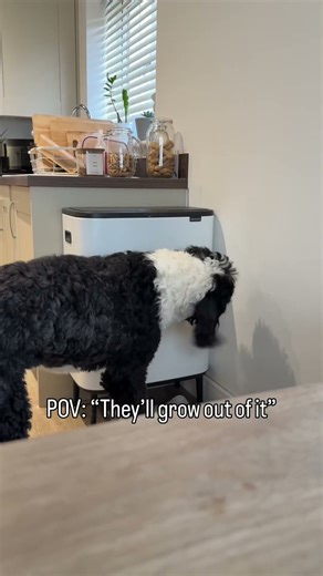 INCORRECT! She actually grew into it 😅