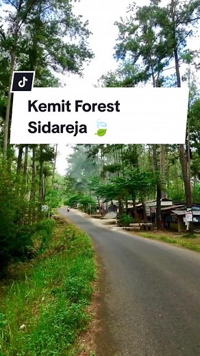 #sidarejakeren #sidareja #pesonacilacap #sidarejacilacap #infosidareja #kemitforesteducationsidareja #wirangdenycaknancomingson #wisatasidareja #fyp