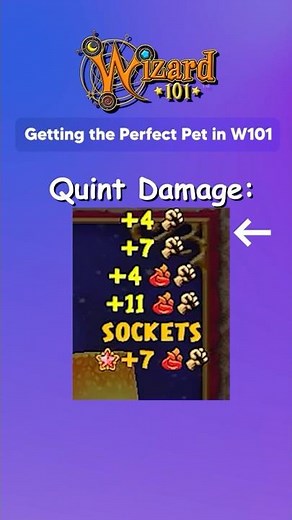 Training The Perfect Pet In Wizard101 Explained #wizard101 #gaming