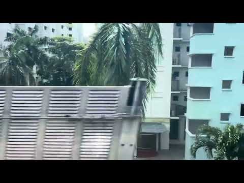 Smrt R151 alstom movia set 921/922 Admiralty to marsiling 1