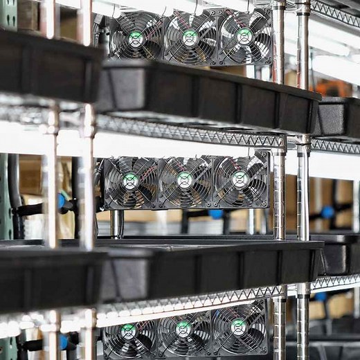 Automated Grow Rack - Vertical Grow System - Bootstrap Farmer