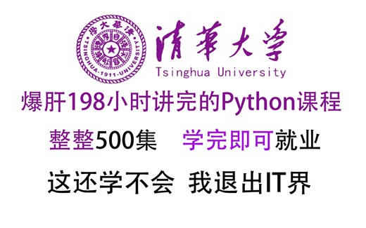 【整整500集】2025最易懂最强Python全套教程！全程干货无废话！逼自己7天学完，从0基础Python入门到精通，只要这套Python教程就够了！
