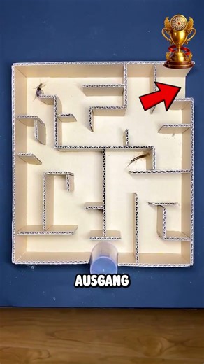 This man tested the intelligence of two insects 😲