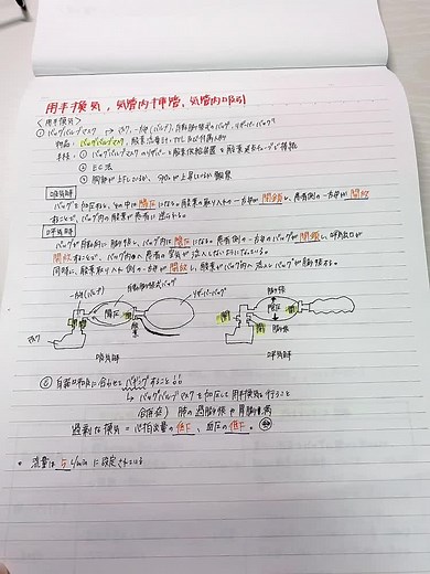 医療大学生のための呼吸器ノートのまとめ方 | 勉強と医療事務のノート作り方