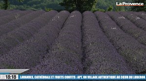 Champs de lavande, fruits confits, riche patrimoine... Située au coeur du Luberon, la ville d'Apt ne manque pas de charme 💜 | La Provence