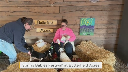 Spring Babies Festival