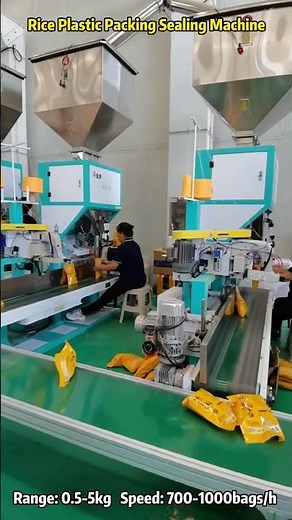 High-Speed Rice Packaging Machine in Action | Jialong Technology