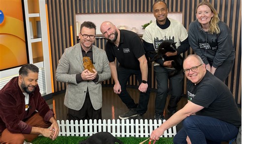 It’s National Adopt a Pet Week! Meet the adorable Toronto Humane Society animals looking for their 'fur-ever' homes