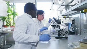 Scientist and students working in lab. Doctor teaching interns to make analyzing research. Laboratory tools: microscope, test tubes, equipment. Biotechnology, chemistry, bacteriology, virology.