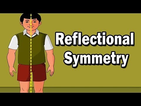 Reflectional Symmetry | Home Revise
