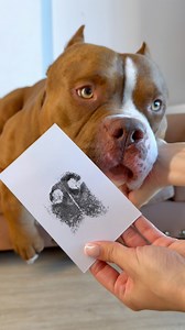 Paw Print Kit 🐾 | Chocodogger