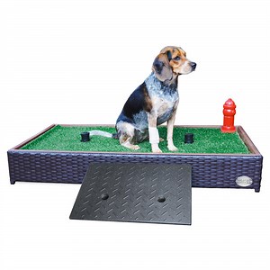 Porch Potty Ramp - Dog Toilet Training Accessories - Porch Potty