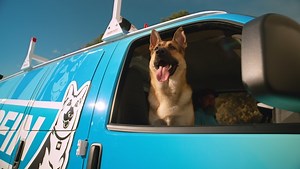 4.5K views · 159 reactions | A whole-home generator ensures you'll never lose power, even with Richmond's unpredictable weather. Not sure where to start? Get our free guide with the top five things you need to know! | Woodfin-Your Home Team | Facebook