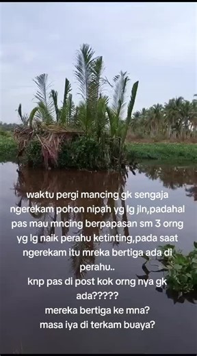 Keajaiban Pulau Kalimantan: Pohon Nipah Terapung di Laut