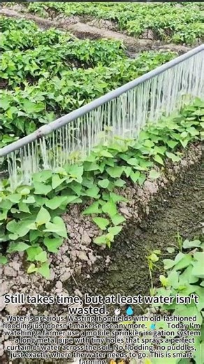 Mobile Sprinkler: Saves Water, Grows More! 💧🌱