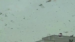44K views · 670 reactions | LOCUSTS SWARM: Thousands of Desert Locusts are swarming near India’s capital, with the unprecedented outbreak forcing residents to keep windows closed and pilots to use caution at the city’s international airport. Tom Llamas reports. https://abcn.ws/374wFvU | ABC World News Tonight with David Muir | Facebook
