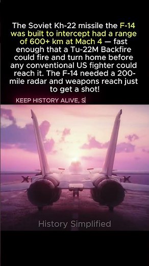 The F-14 Had 1 JOB: Stop Soviet Missiles Before They SANK US Carriers