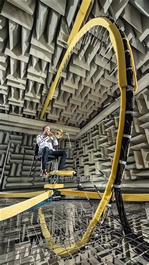 How Quiet are the World's Quietest Rooms