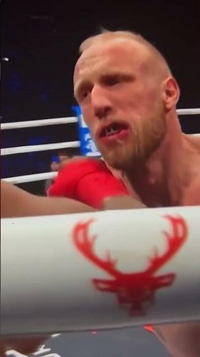 FELONY / CHARLES BENNET / HARD TO KILL / BKFC KNUCKLMANIA VI #boxing#highlights