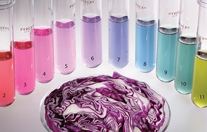 Experimento de pH casero con lombarda