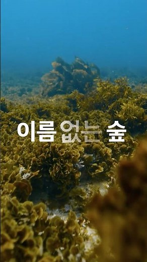 Nameless Forest | Teaser film | Sea Forest Conservation CSR Campaign